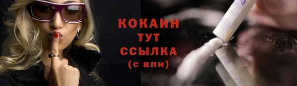PSILOCYBIN Майский