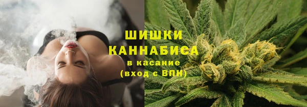 spice Магас