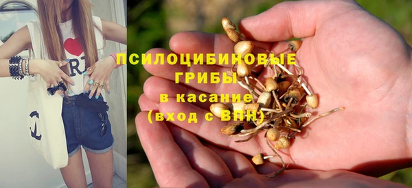 PSILOCYBIN Майский